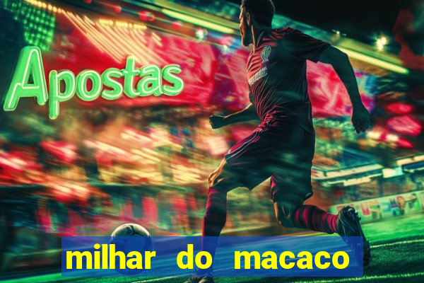 milhar do macaco que mais saem no jogo do bicho