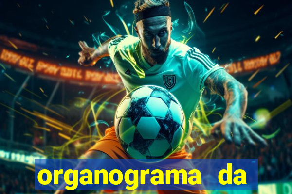 organograma da cacau show