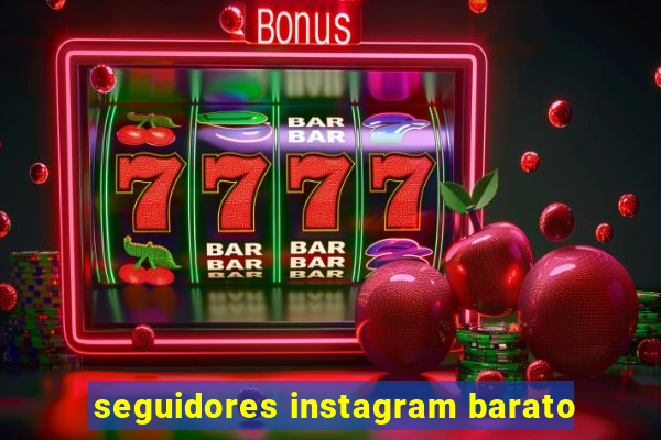 seguidores instagram barato