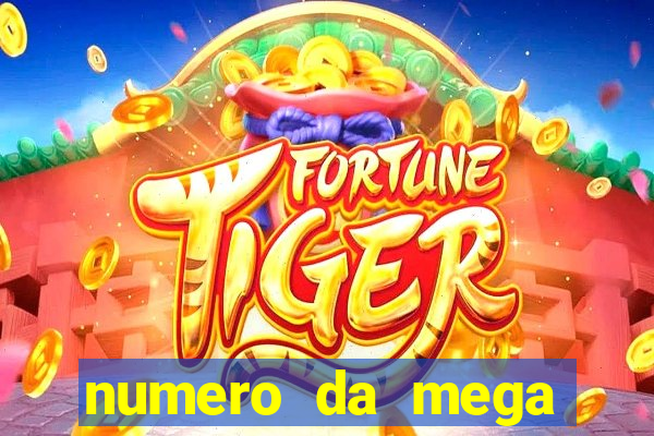 numero da mega sena de onten