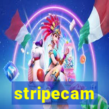 stripecam