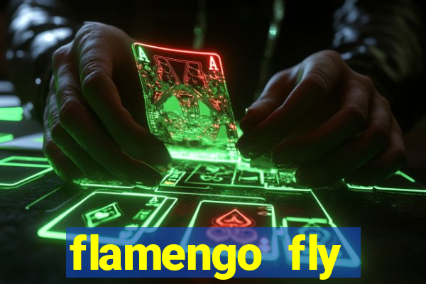 flamengo fly emirates ultimas noticias