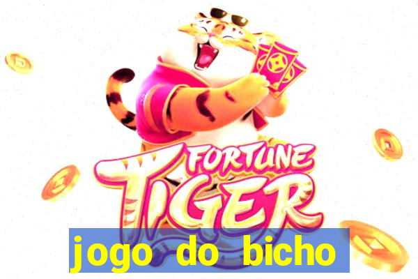 jogo do bicho documentario globoplay