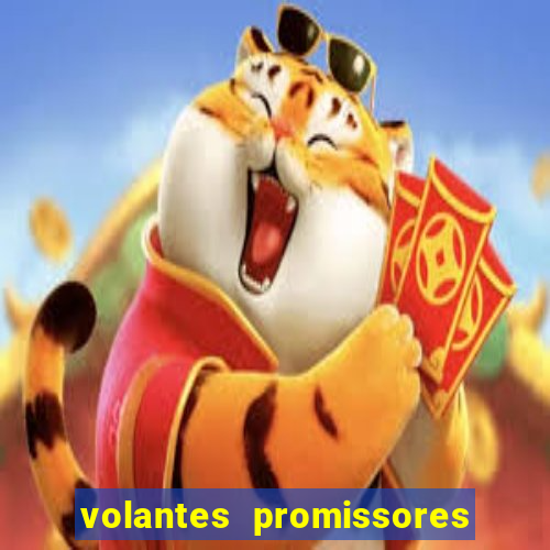 volantes promissores ea fc 24