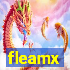 fleamx