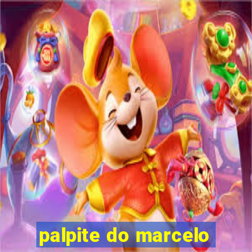 palpite do marcelo