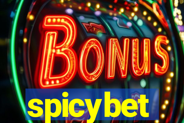 spicybet-2.com